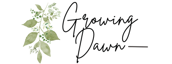 Growing Dawn: The Shop