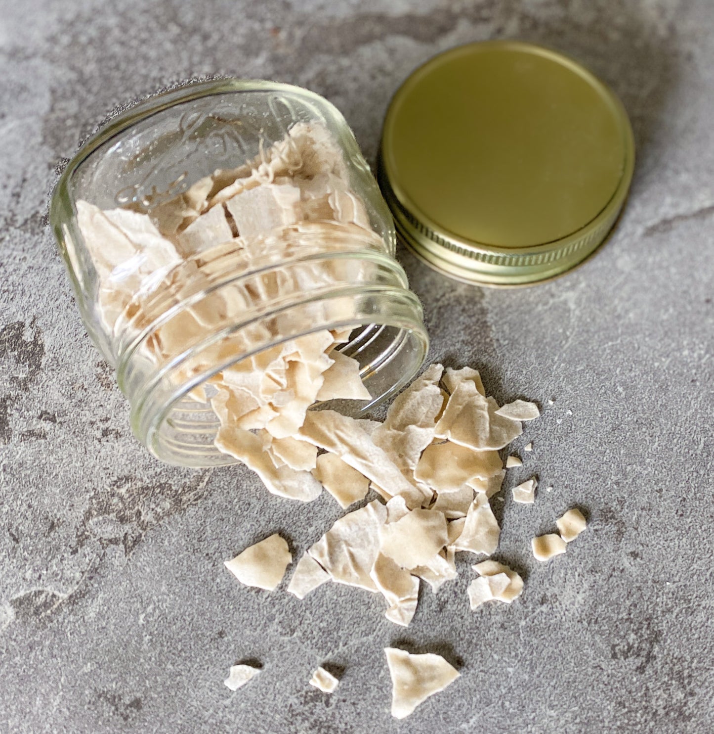 Dehydrated Sourdough Starter