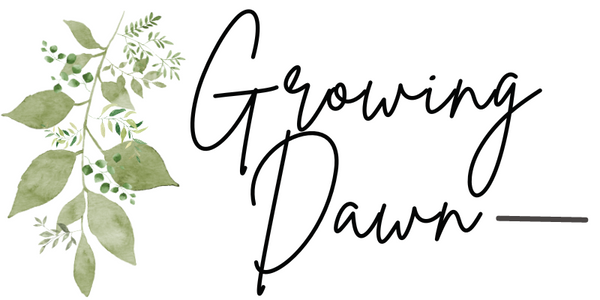 Growing Dawn: The Shop